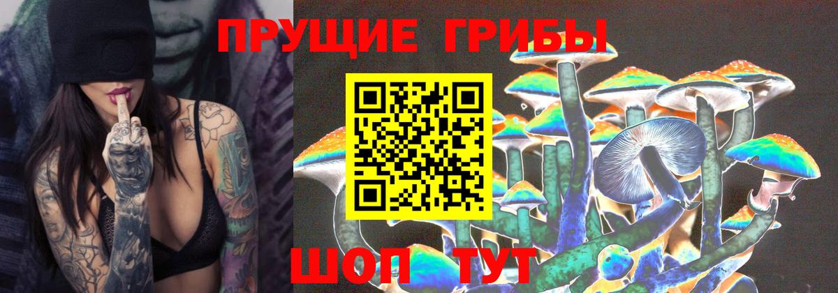 Псилоцибиновые грибы ЛСД Благовещенск